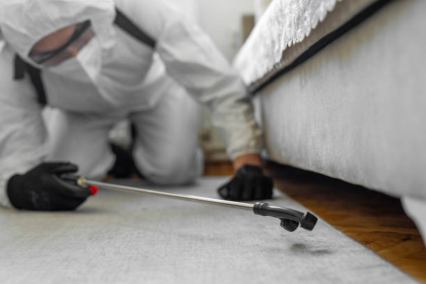 Professional Termite Control technician working in Proctor, VT
