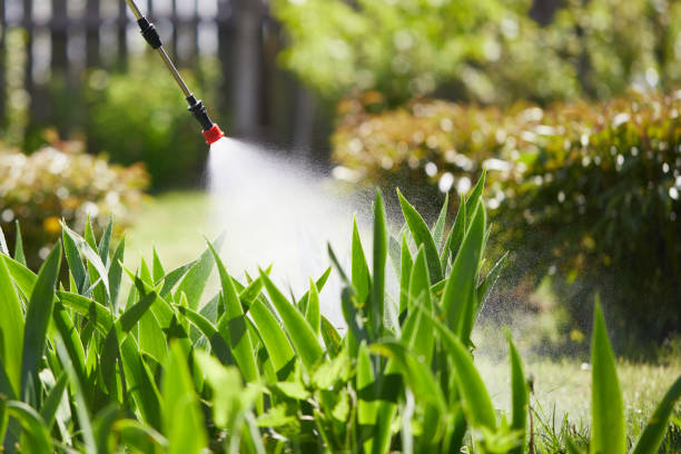 24/7 Emergency Termite Control experts in Proctor, VT